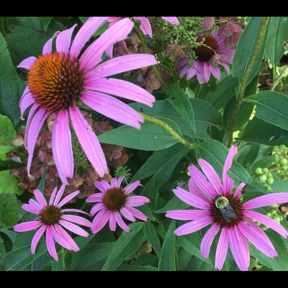 Meet the Posher Other - Meet your Posher, Cathy